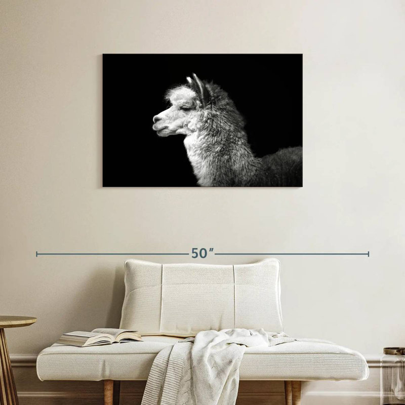 Brampt Noir Llama, 24" H x 36" W