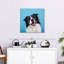 Crowle Happy Border Collie-111886980