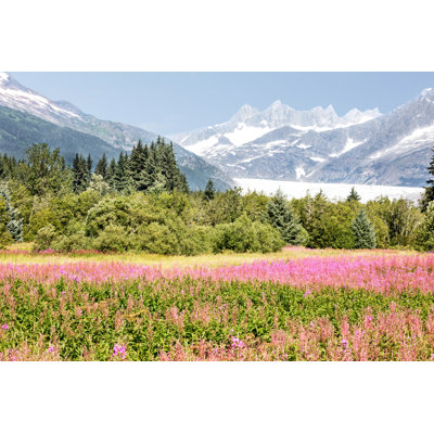 Mendel Glacier With Fireweed by Jodi Jacobson - Wrapped Canvas Print