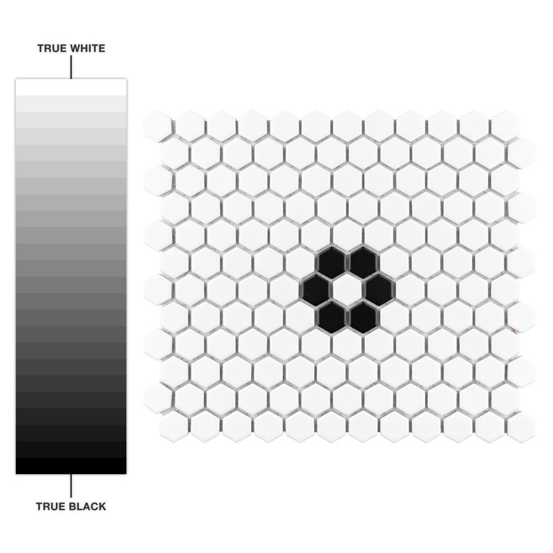Metro 0.9" x 0.9" Hex Porcelain Honeycomb Mosaic Wall & Floor Tile, Matte White/Black