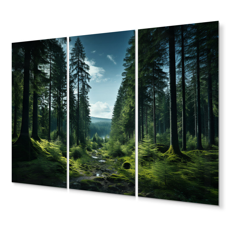 Canada Whispering Pines I Cities & Countries Wall Decor on Metal