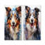 Ensemble de salon Border Collie Brilliance - Dog-455972436