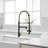GAWEZA Pull Down Kitchen Faucet-86846739