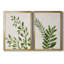 «Botanical Wash I», ensemble de 2 reproductions d'art sur toiles-455244315-455244311-455244299