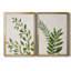Botanical Wash I - 2 Piece Painting-455244299-455244311-455244318