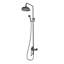 Leedy Mixer Shower with Dual Shower Head