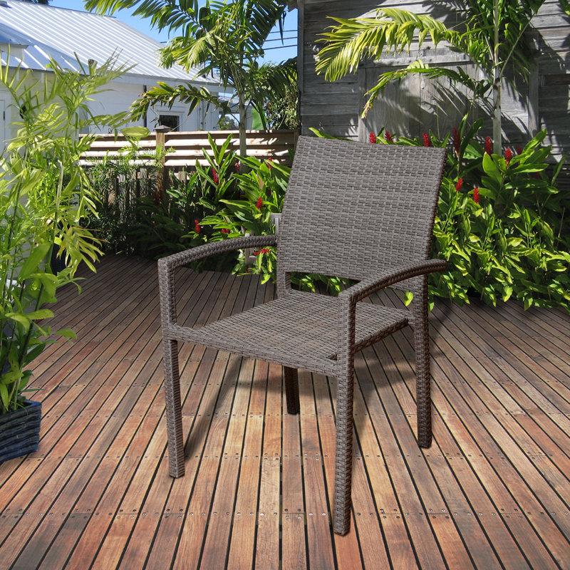 Alyisa Wicker Patio Dining Chairs