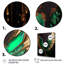Ensemble d'illustrations murales sur toile vert et or Angel Wings I - Wings Angel-821477787