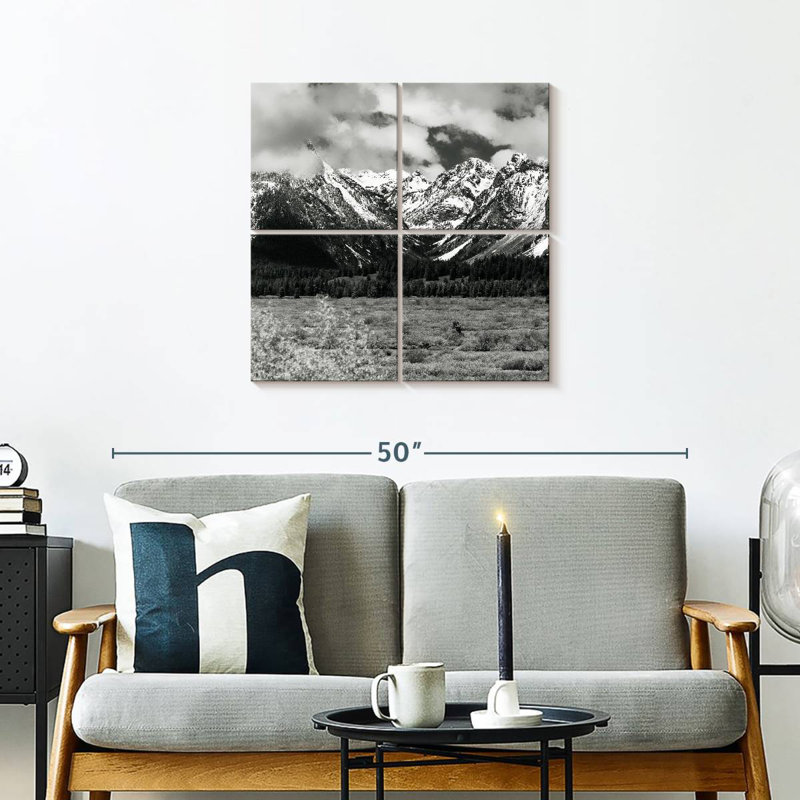 Alvord Snowy Teton Mountains BW, H 26 po x l 26 po
