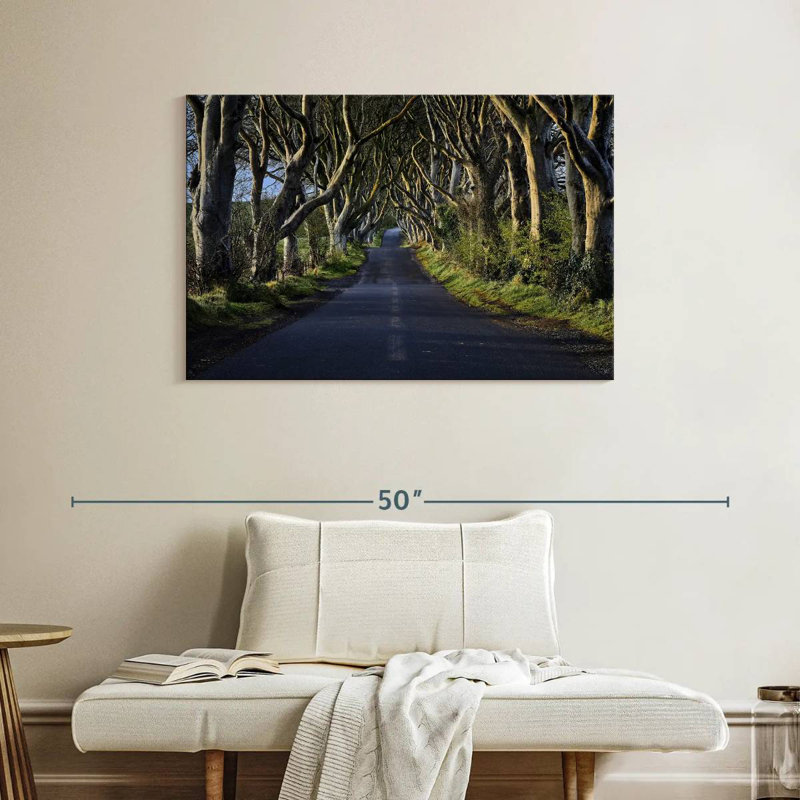 Kavia The Dark Hedges, 26" H x 39" W