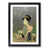 Black Framed selected