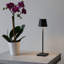 Poldina Pro Micro Table Lamp-1881560162