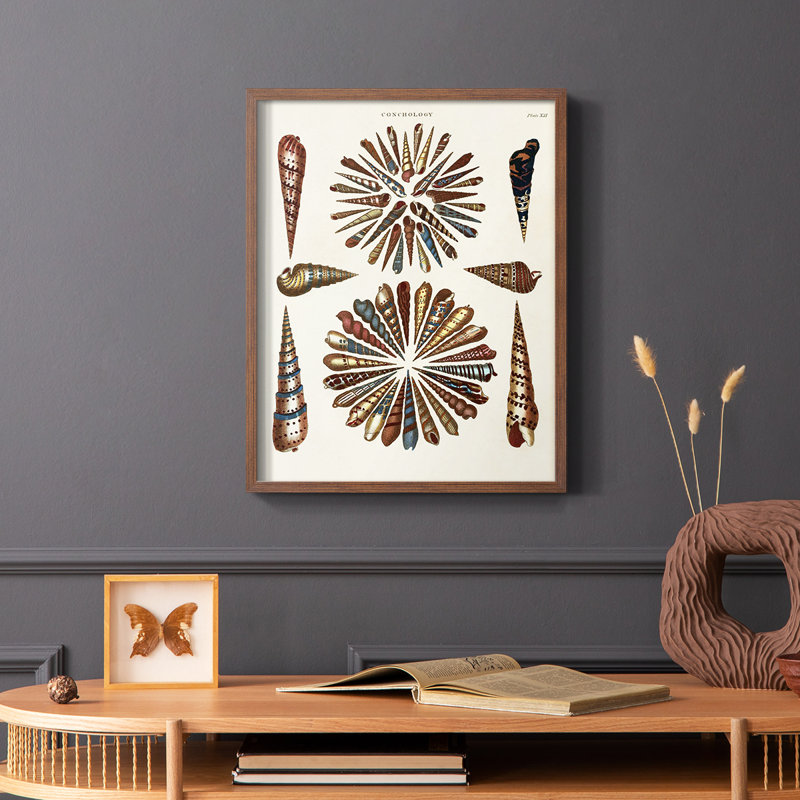 Spiral Shell Formation III, reproduction encadrée - bois massif, H 10 po x l 8 po, Brun