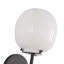 Maag 7-In Wall/Vanity Light-505257086