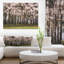 «Cherry Blossoms in Pine Tree», reproduction de photo sur toile tendue-232754928