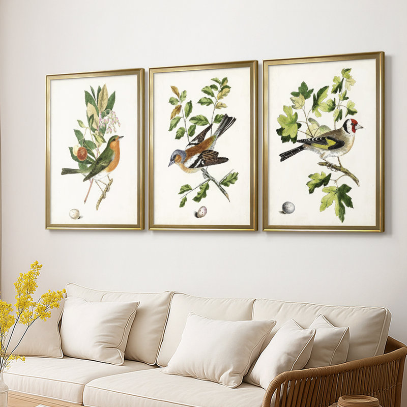 Antique Bird, Botanical & Egg I  -Custom Framed  Wrapped Gallery Canvas - 3 Pieces