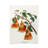 Chicago Collage Kit - Pack of 8