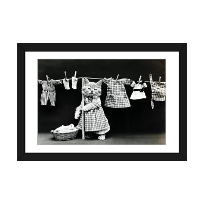 " Kitty Laundry " Graphic Art