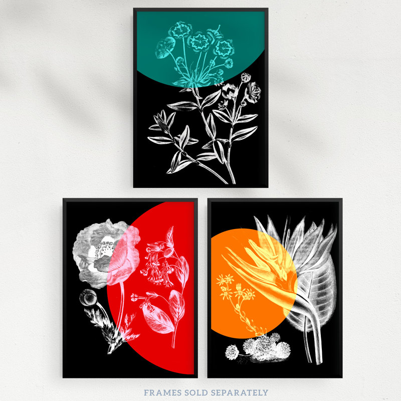 Colour Pop Floral Black White Plants Flower Botanical - 3 Piece No Frame Print Set, 29.7cm H x 21cm W x 0.4cm D