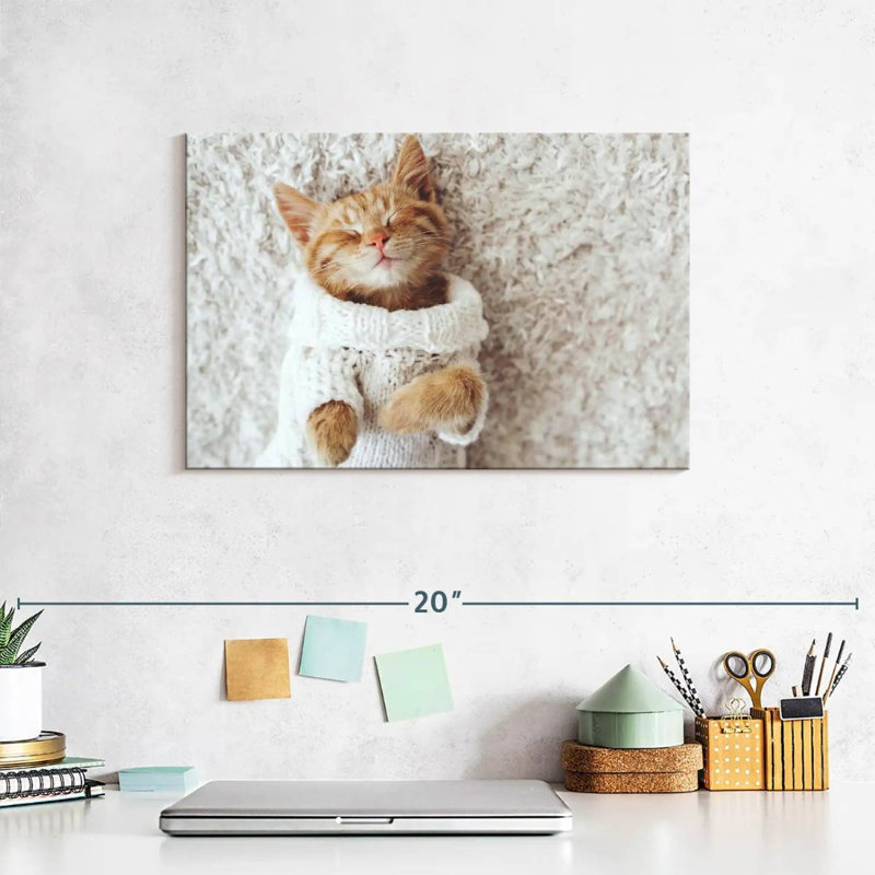 Brampt Cat In A Sweater, 8" H x 12" W