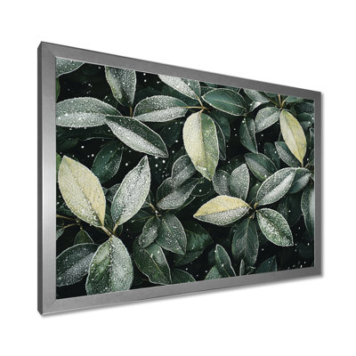 Iqra Evergreen Leaves In Snow III - leaves Wall Art