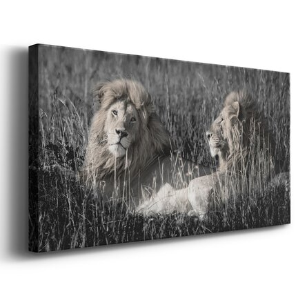 Mara Lions- Premium Gallery Wrapped Canvas - Ready To Hang