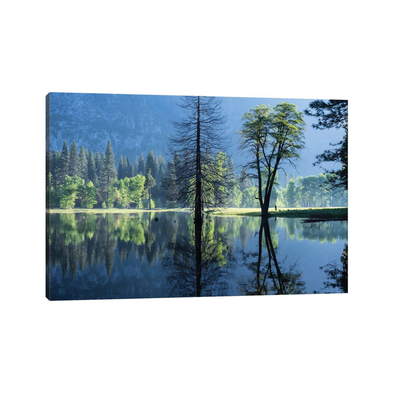 Morning Observer by Heather Roberson - Wrapped Canvas Print, 20.32 cm H x 30.48 cm W