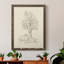 Toile encadrée de qualité supérieure Wooded Path II - prête à être accrochée-2095705460-2095705462