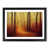 Black Framed