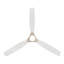 Ventilateur de plafond intelligent DEL 5 "FoxCC-124318089-124318091