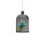 Curio 1 - Light Pendant