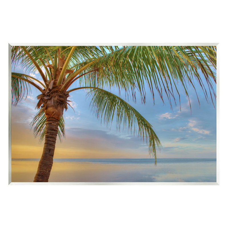 Sunrise Palm Tree Sky Reflection Coastal Wood Wall Art