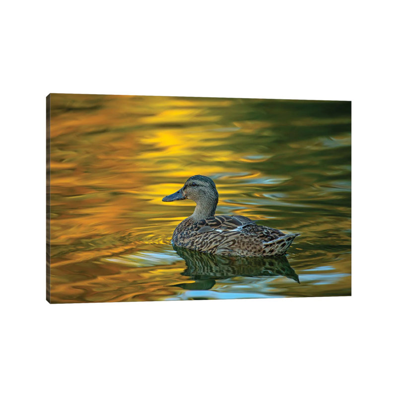 Night Glow On Golden Pond by Louis Ruth - Wrapped Canvas Print, 66.04 cm H x 45.72 cm W