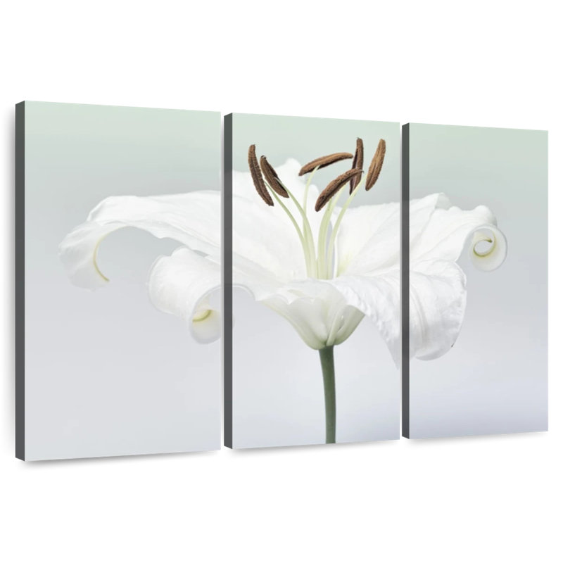 Fleur de lys blanc Harnek, H 24 po x l 38 po