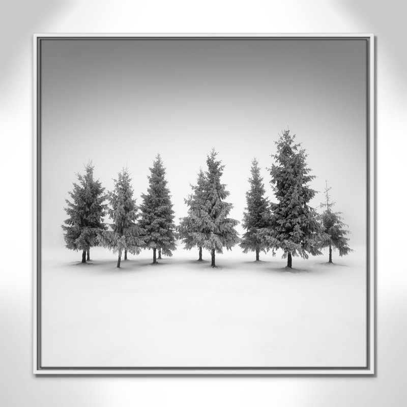 Impression d'épinette par Daniel, Toile avec cadre, L 31,5 po x H 31,5 po, Flotteur blanc