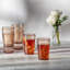 South Bend 19 oz. Drinking Glass-1814047655