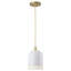 Luminaire suspendu en forme de dôme à 1 lumière en métal, réglable de 12 à 90 po, finition dorée / blanche, intensité variable E26