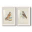 Hawk Owl - reproduction de cadre photo sur toile 2 pièces-569140938-569140941