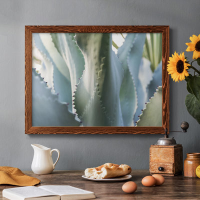 " Blue Agave II "