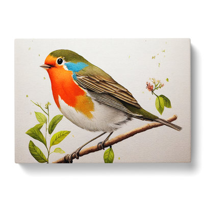 Exceptional Robin Bird - Wrapped Canvas
