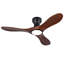 Ceiling Fan-1618894205
