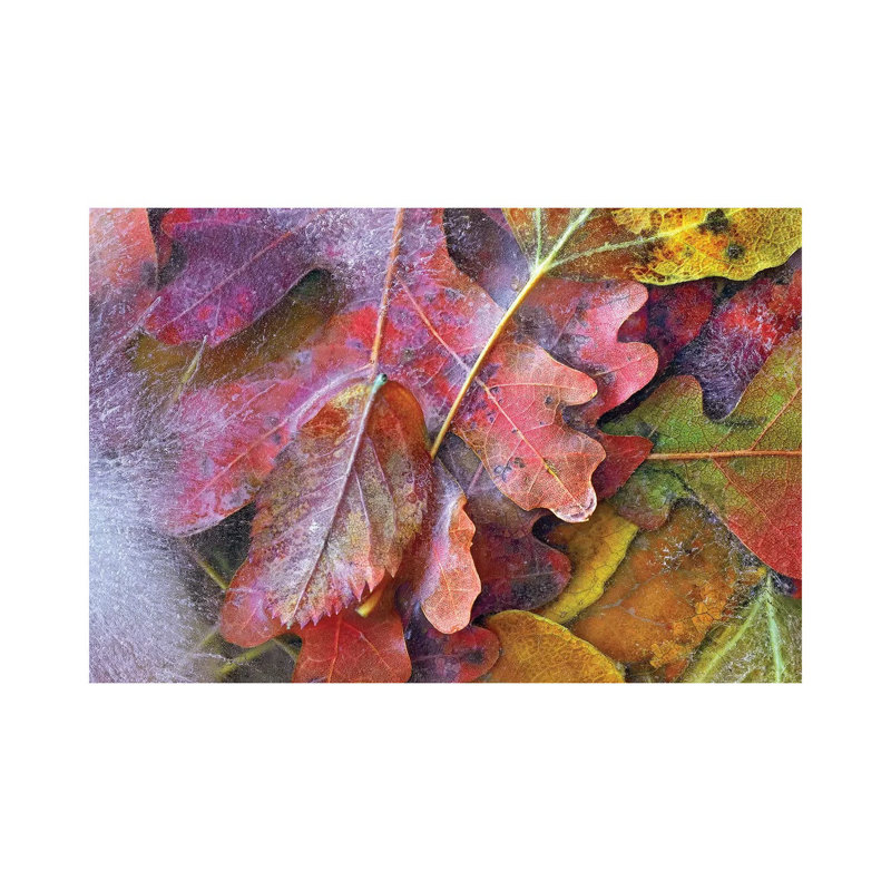 Frozen Autumn Leaves, North America by Tim Fitzharris - Gallery-Wrapped Canvas Giclée on Canvas, 20.32 cm H x 30.48 cm W