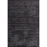 Rapture Gray No Pattern and Not Solid Color Luxury Area Rug