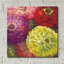 «Zinnia Gala I» par Carol Rowan-1559085444