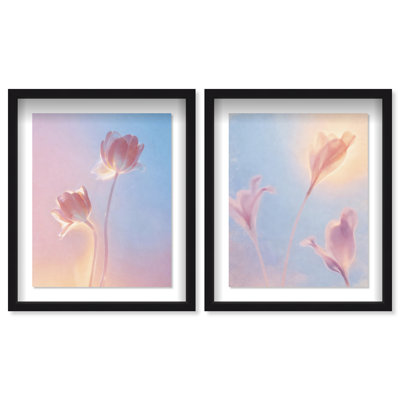 Iridescent Spring Set Framed Graphic Art