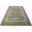 Performance Wool Oriental Indoor Rug