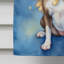 Drapeau Boston Terrier My Angel House