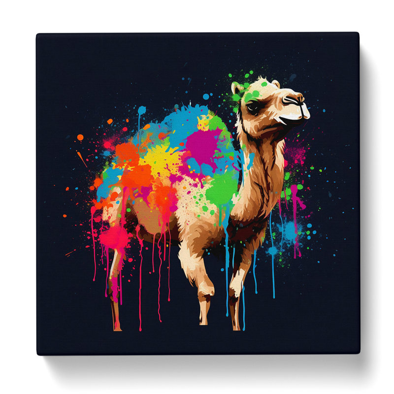 Camel - Print, 50cm H x 50cm W x 3cm D
