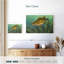 Poisson perchoir Brampt-108135022