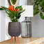 Honeycomb Style Egg Planter with Feet-57886037-99158578